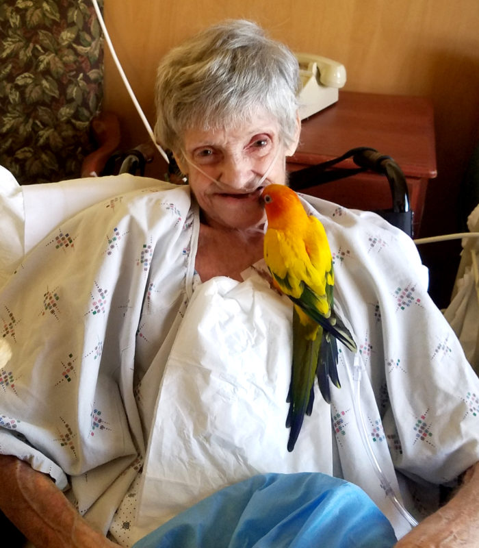 parrot sitting on a old lady chest