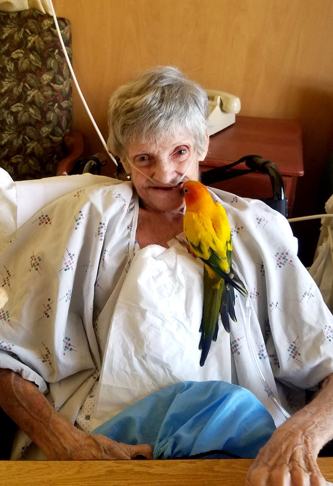 parrot sitting on a old lady chest